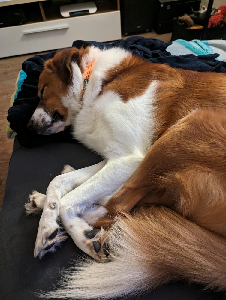 Bild hochgeladen von Björn