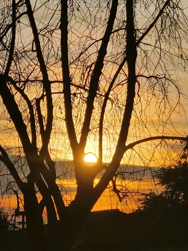 Immagine caricata da Juan