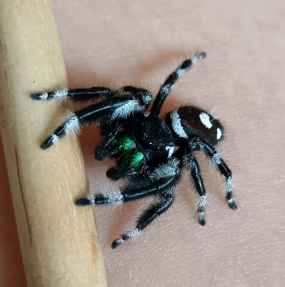 Bild hochgeladen von Sindy