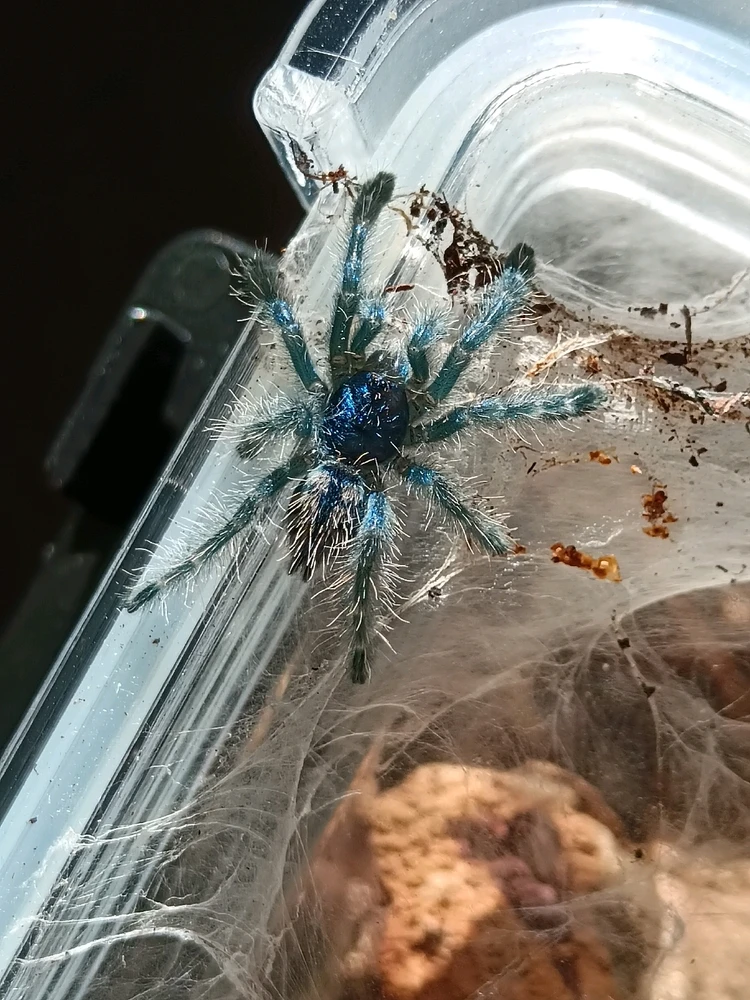 Bild hochgeladen von Sindy