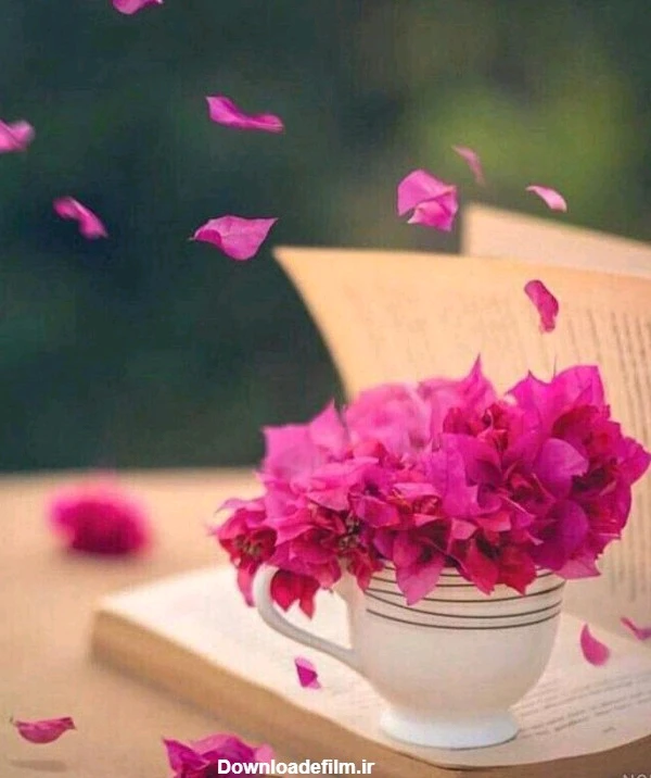 تصویر آپلود شده توسط Em72