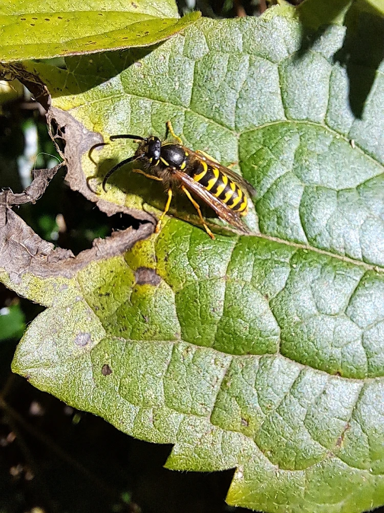 Image uploaded by Kit