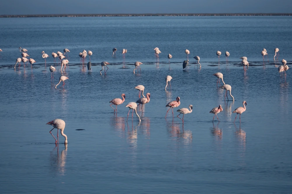 Immagine caricata da ꪑꪖ᥅ᥴꪮ🦉