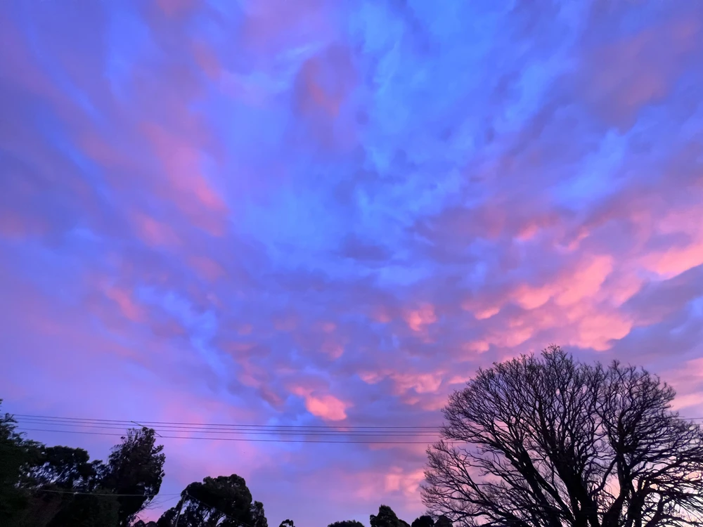 Image uploaded by Shan