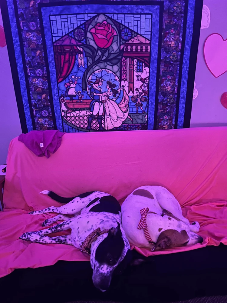 Image uploaded by Jessica Star