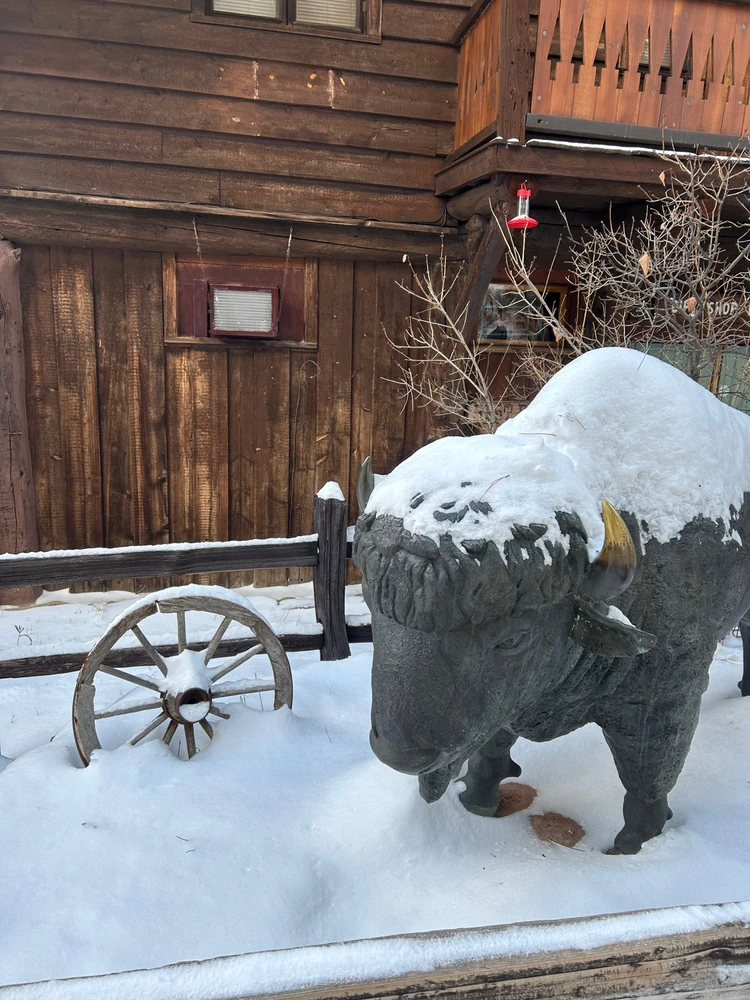 Imagen subida por César