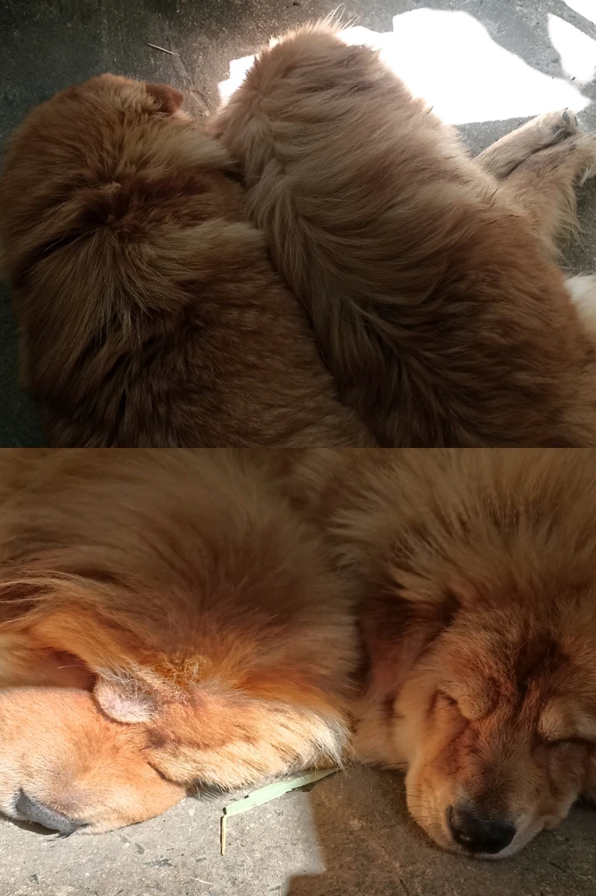 Image uploaded by Julie Anne