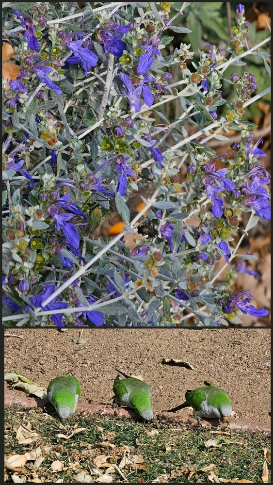 Imatge pujada per Ewerton