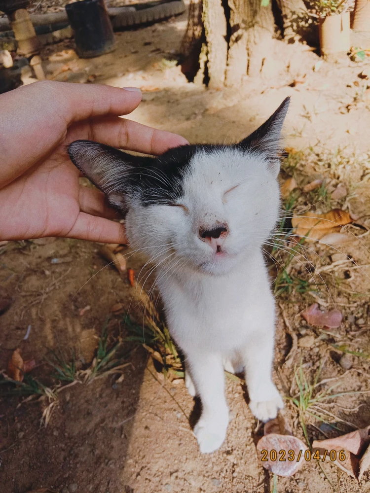 Image uploaded by Luna
