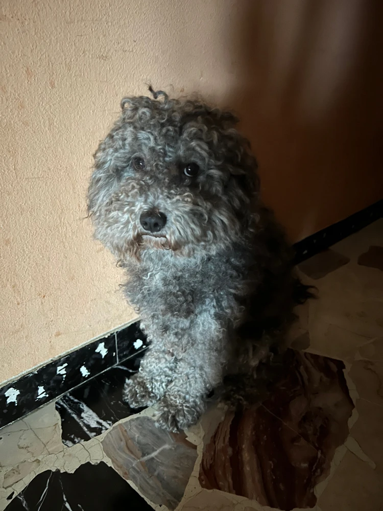 Immagine caricata da Sajana Anthony