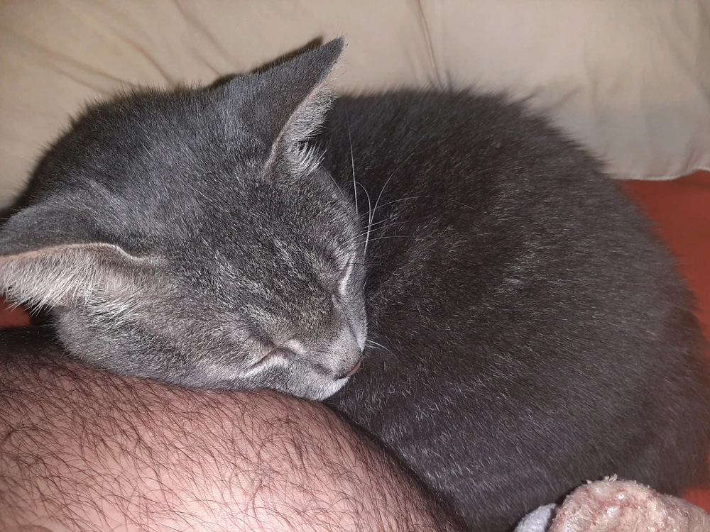 Imagem enviada por Rick