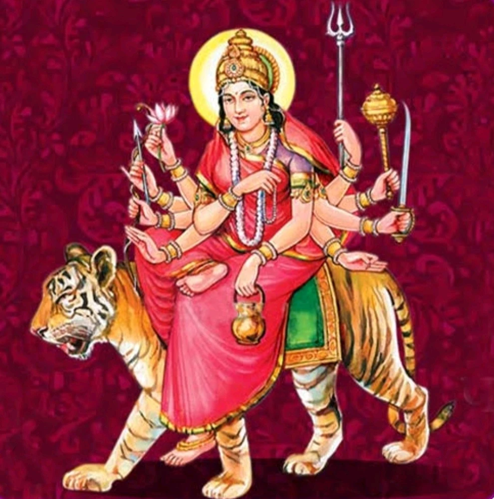 Image uploaded by Zari Mukherjee