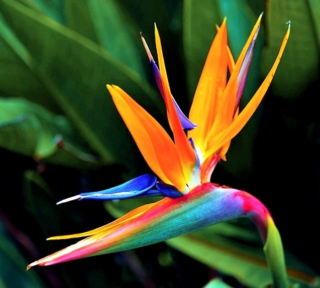 Image uploaded by 𝓛𝓪𝓷𝓭𝓸𝓷