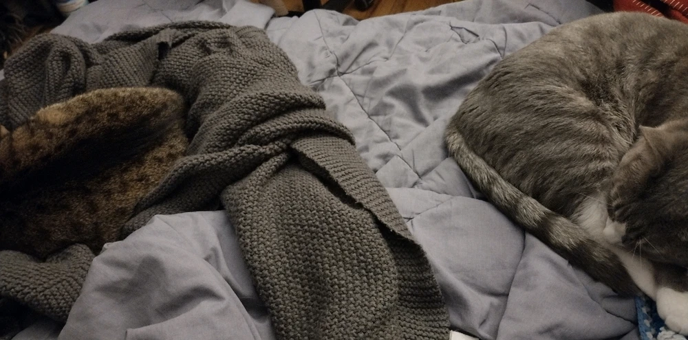 Image of a comforter and a knitted blanket on a bed with two cats resting on it with enough space between them to fit my legs