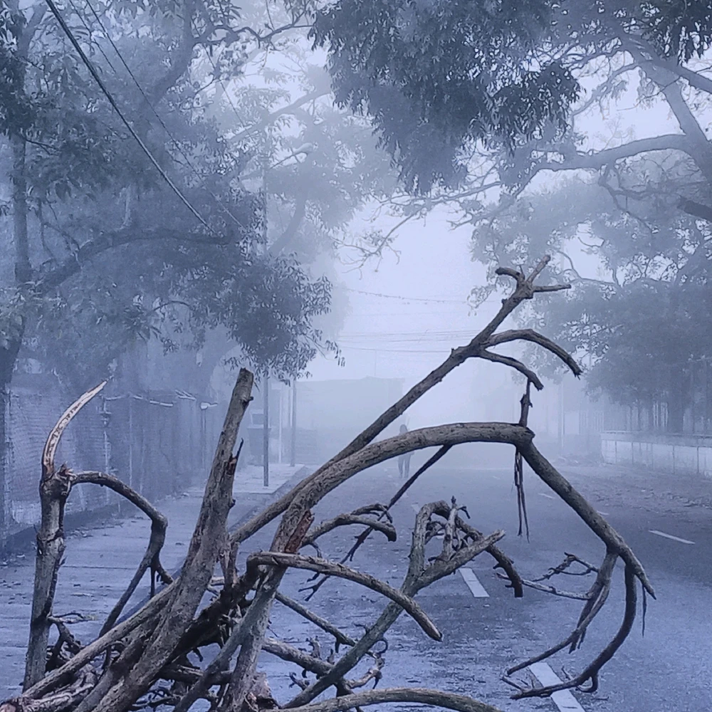 Imagen subida por Andres