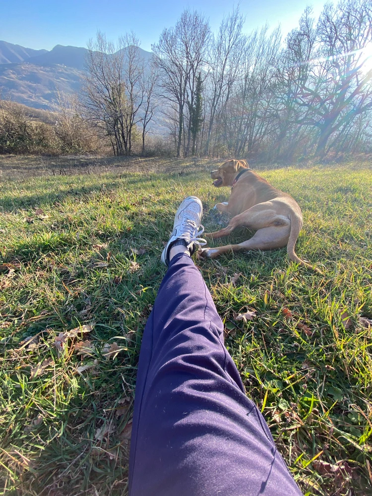 Immagine caricata da Andrea