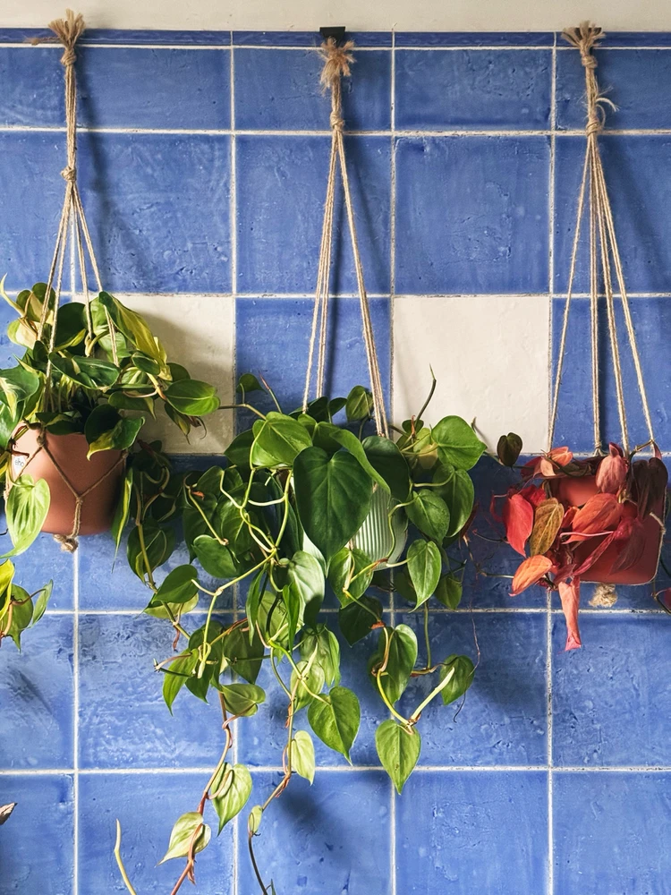 Image uploaded by Steven