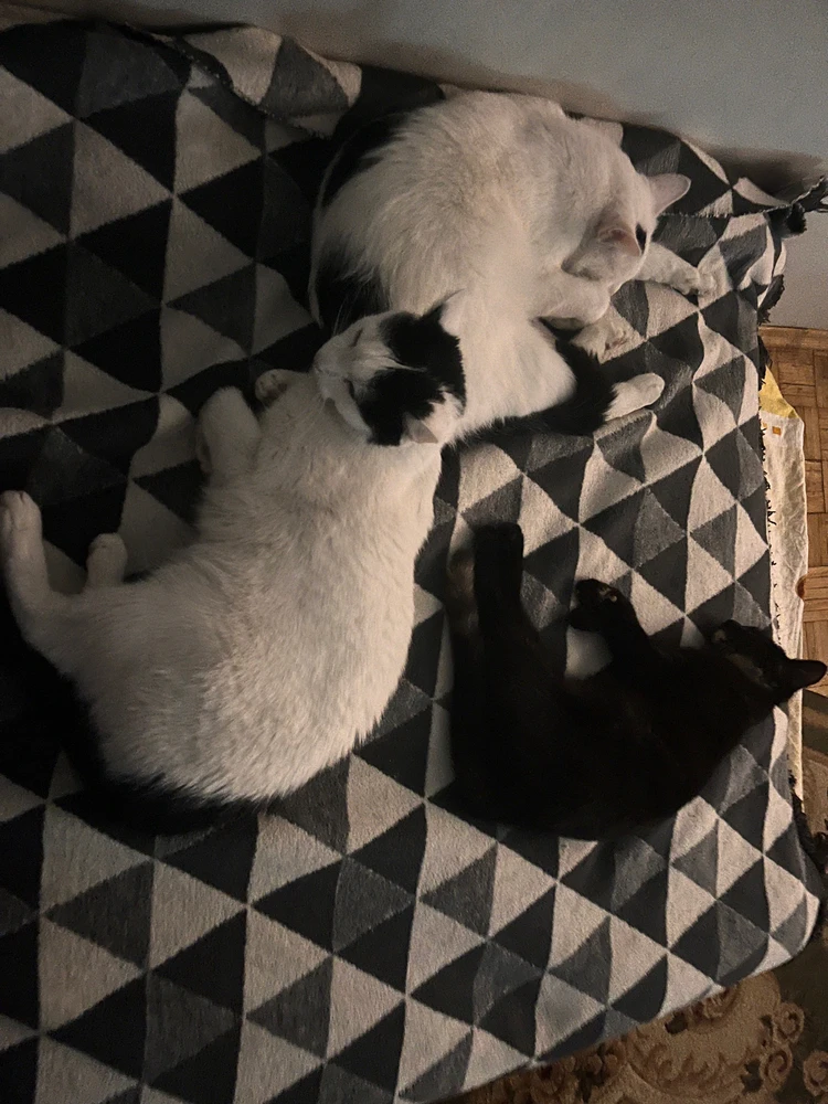 Zdjęcie dodane przez Mateusz