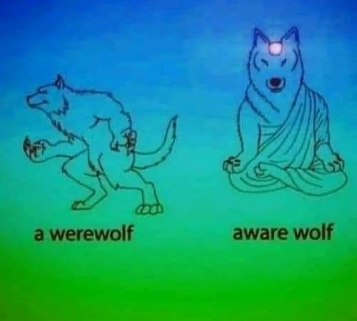 Fox上傳的圖片