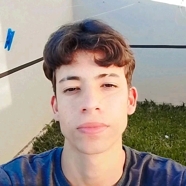 Imagem enviada por alison