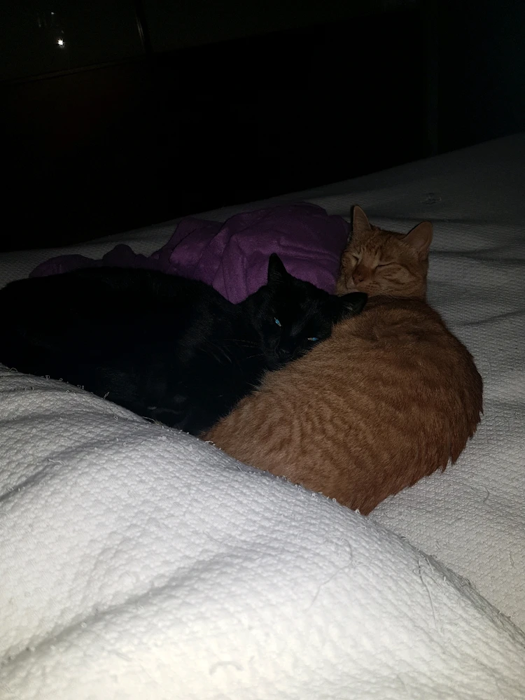 Immagine caricata da Andrea