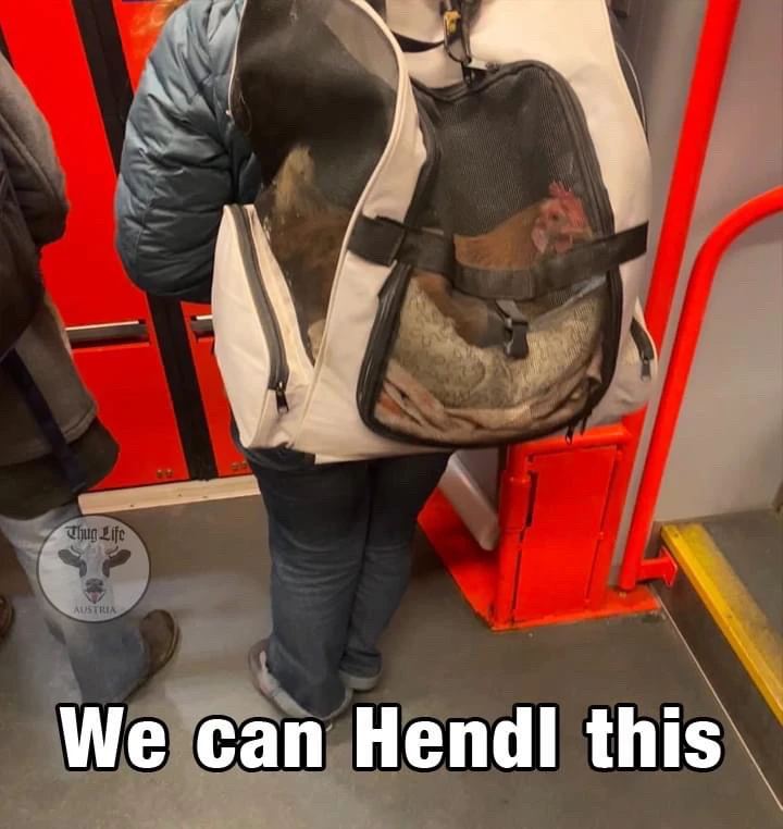 Bild hochgeladen von Alex