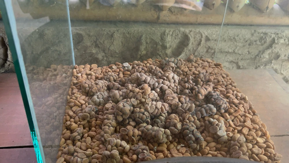 由Jamie上传的图片