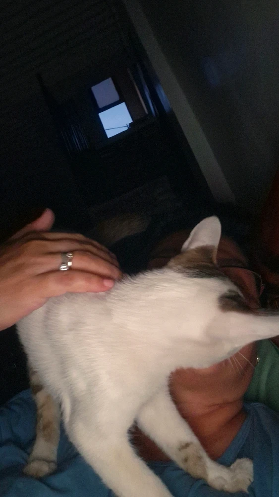 Zdjęcie dodane przez Liza