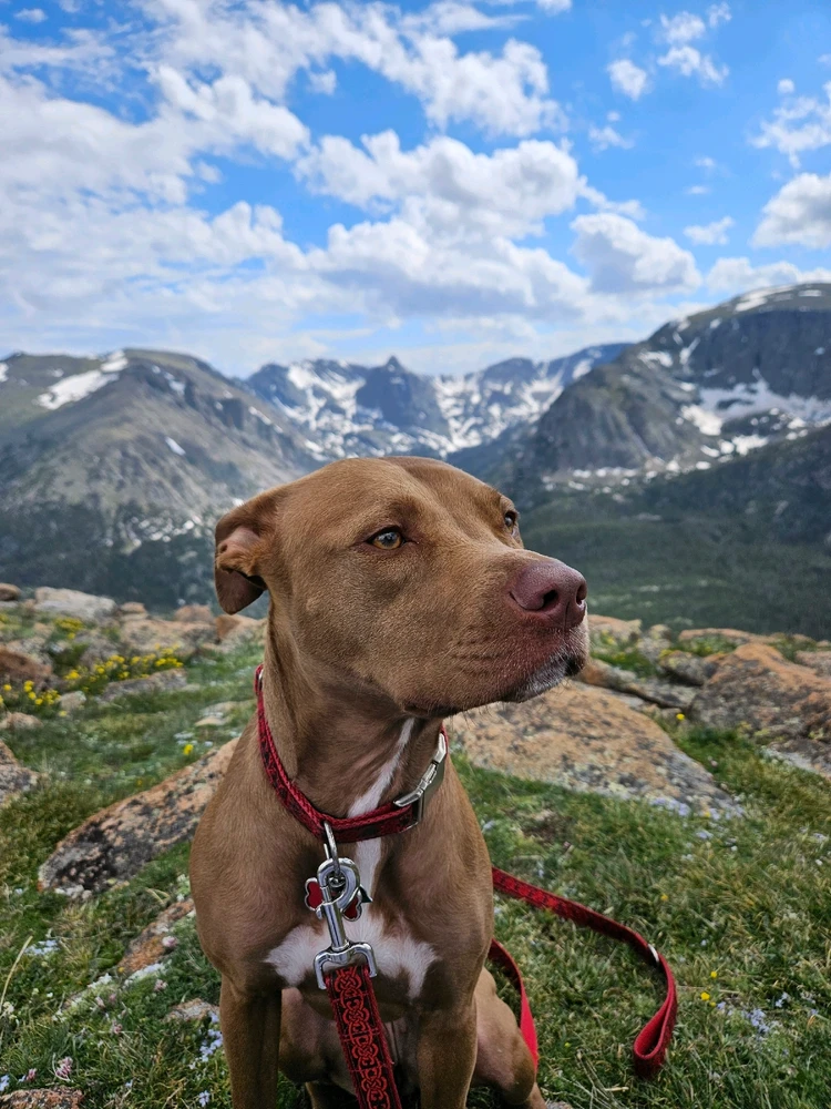 Image uploaded by Haley