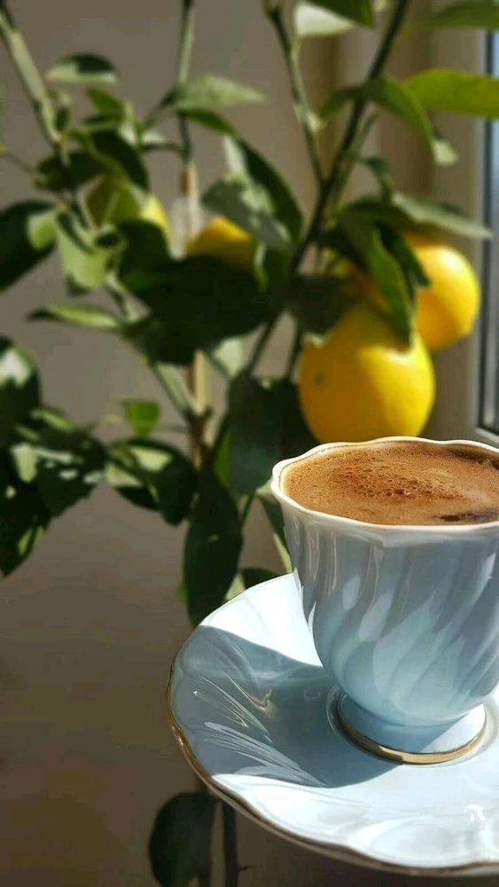 Victoriya님이 올린 사진