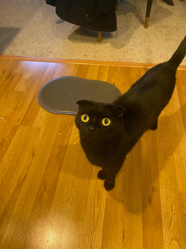 Image uploaded by Wyatt