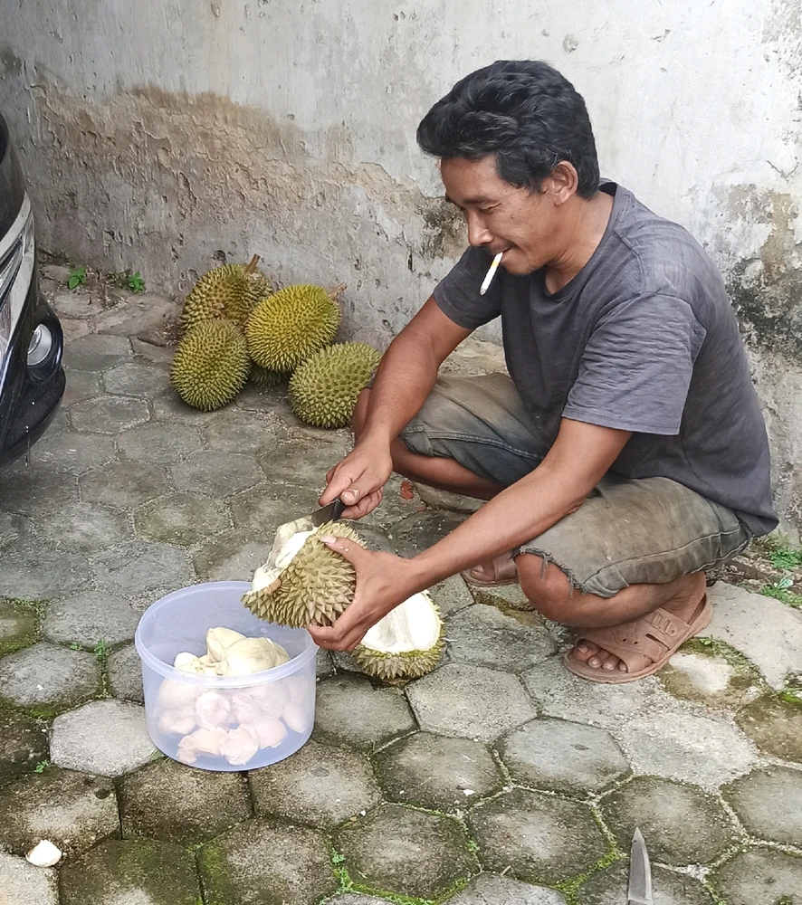 Image uploaded by Cisti