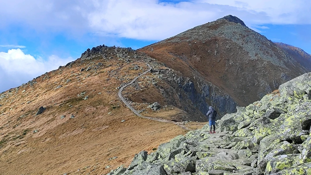 Зображення завантажив Yaroslav