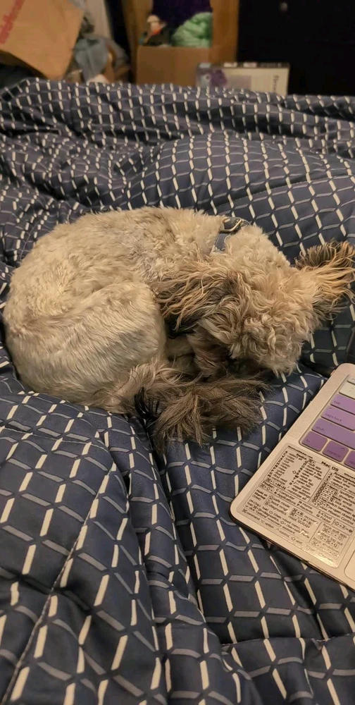 Image uploaded by Jo