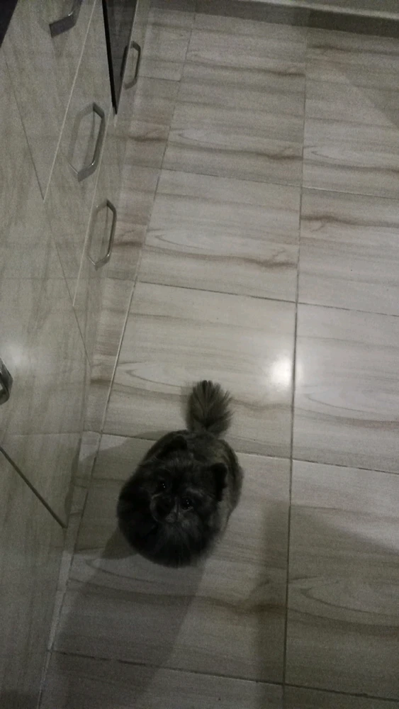 Mehmet Kuzey tarafından yüklenen görsel