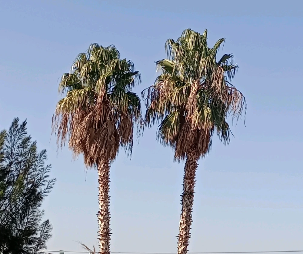 Εικόνα από Θοδωρής