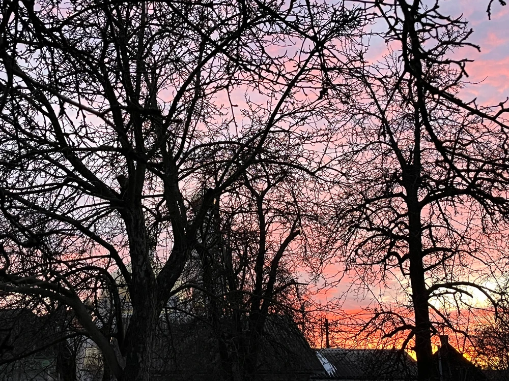 Фото загрузил Павел