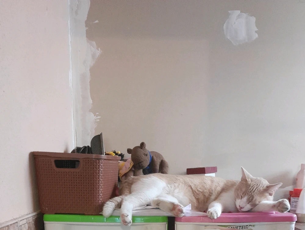 Imagem enviada por Marília