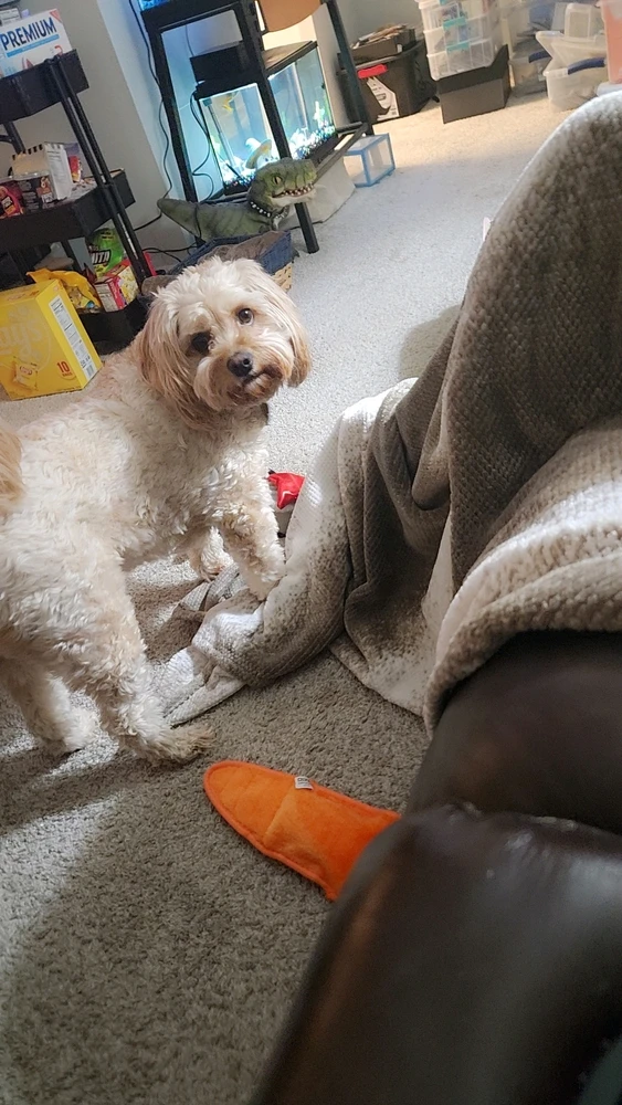 Image uploaded by Bobby