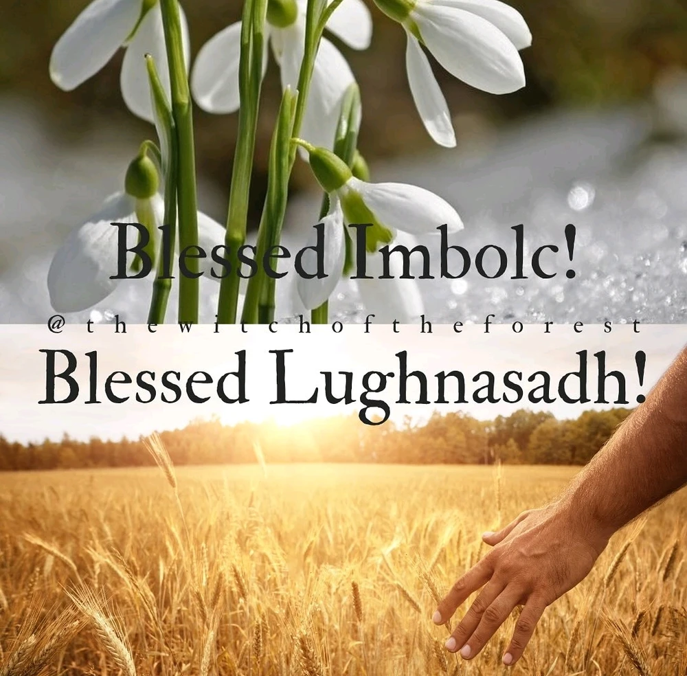 Image uploaded by Faun