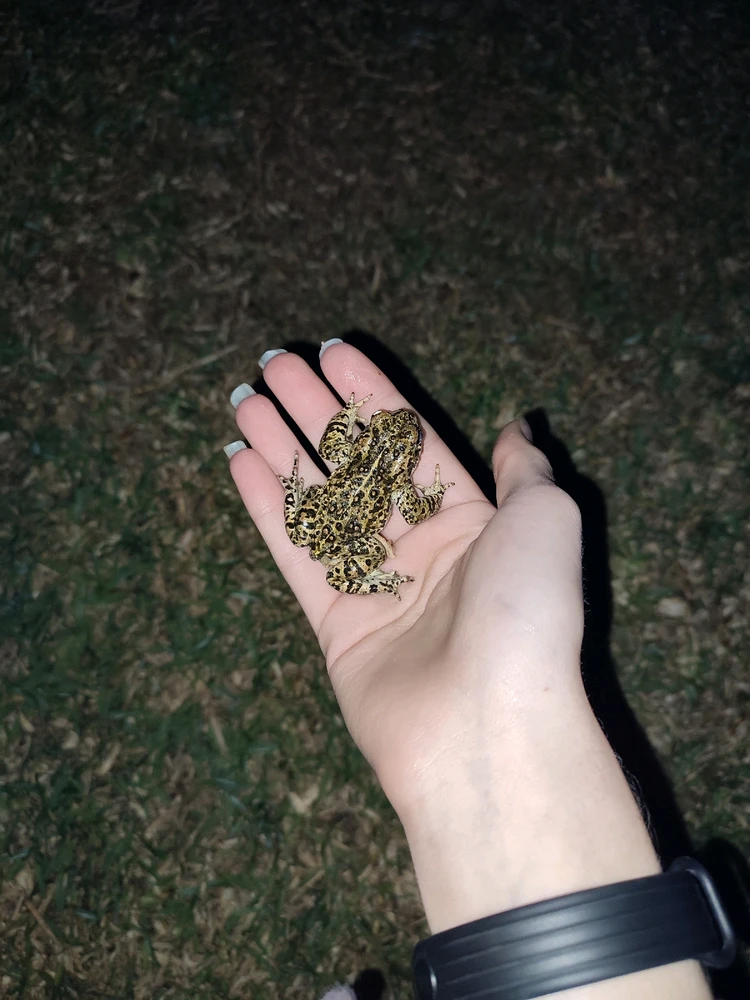 Imagem enviada por Sónia