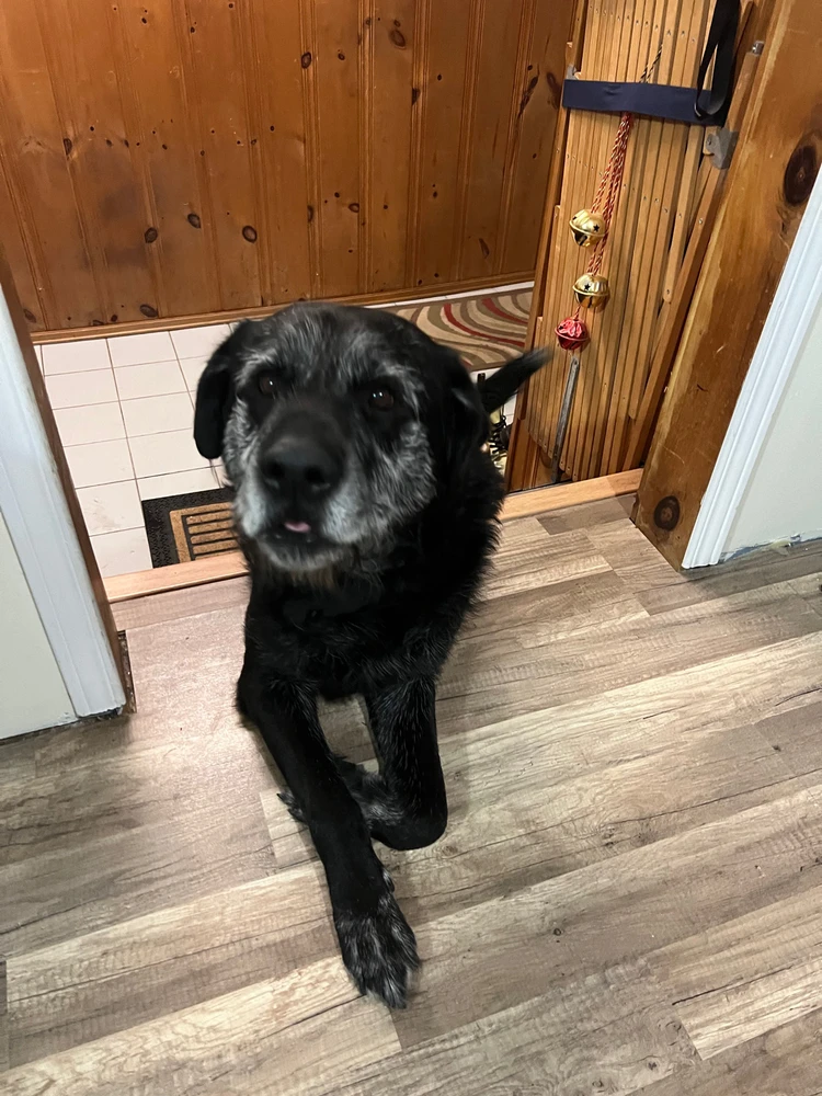 Image uploaded by Jane