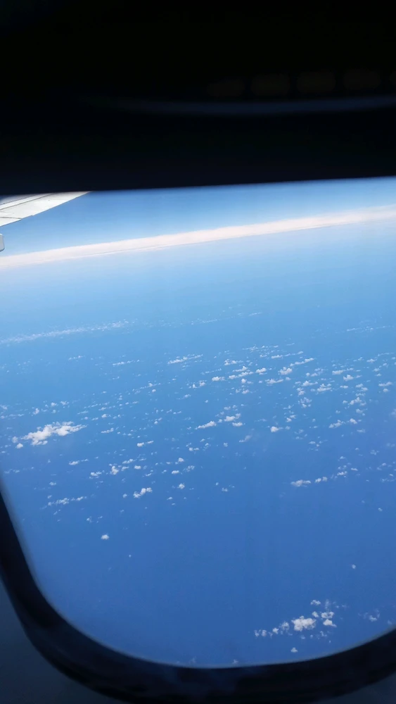 Image uploaded by Irvin De La Rosa Herrera