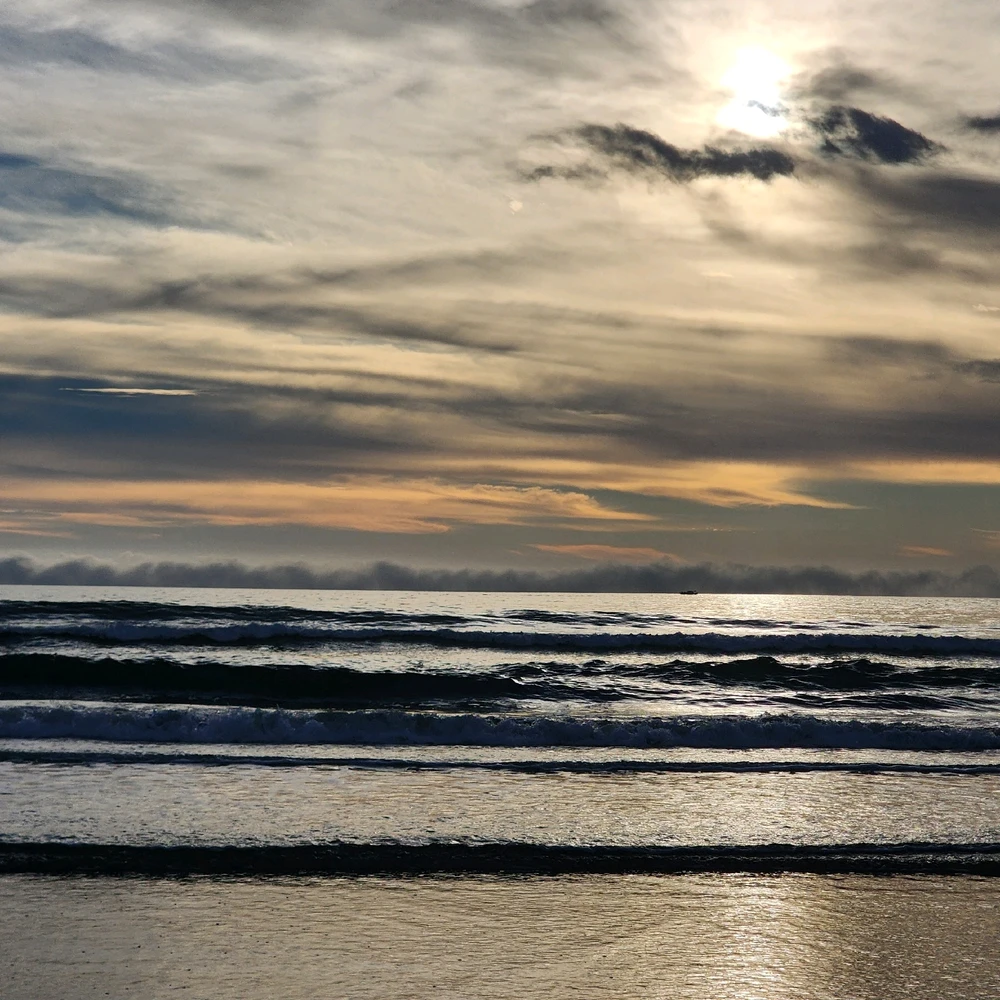 Image uploaded by Gillian