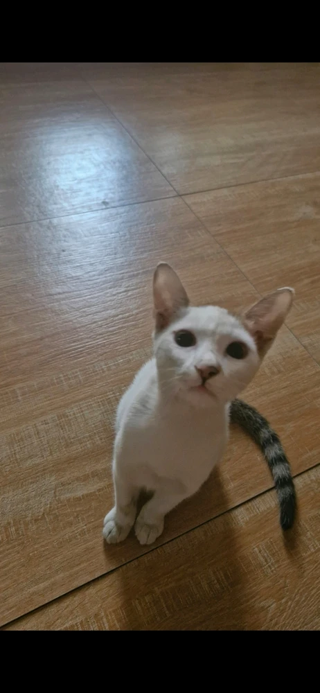 Zdjęcie dodane przez Liza