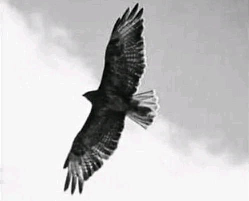 Immagine caricata da Francesco