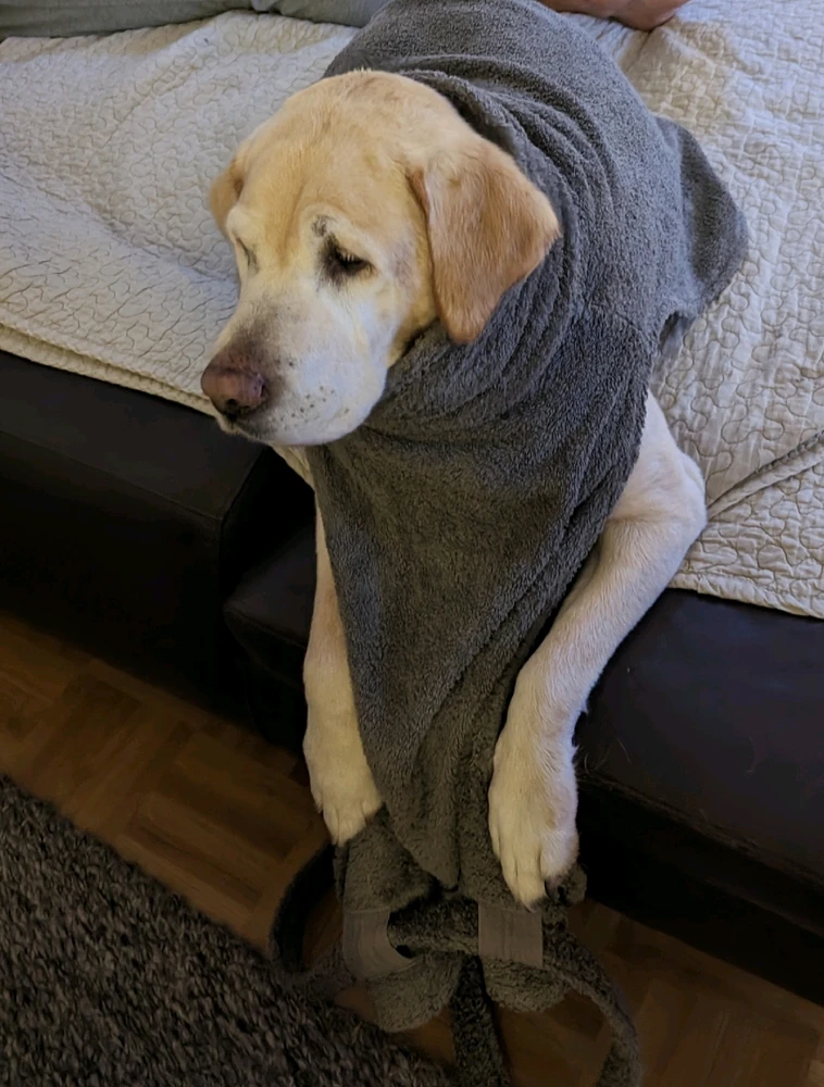 Image uploaded by Jonas