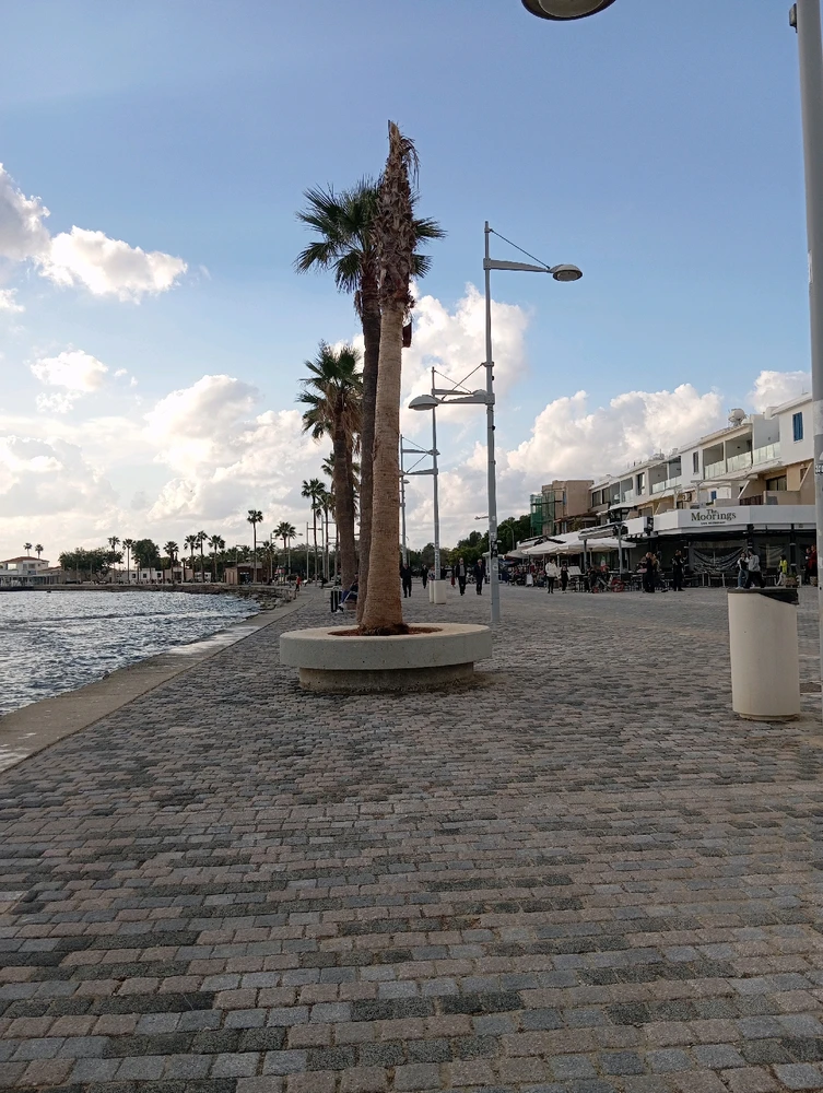 Image uploaded by Fani