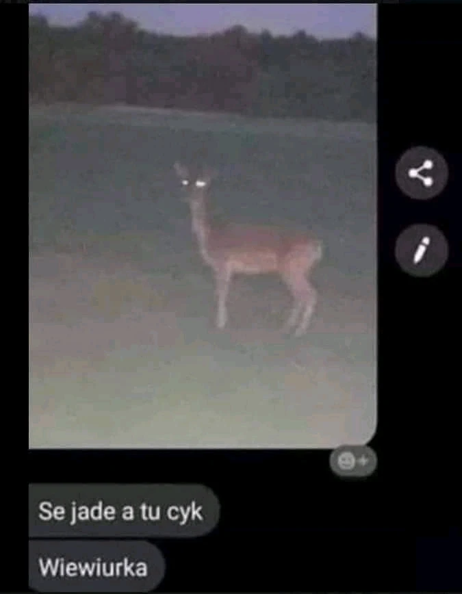 Zdjęcie dodane przez Krystian