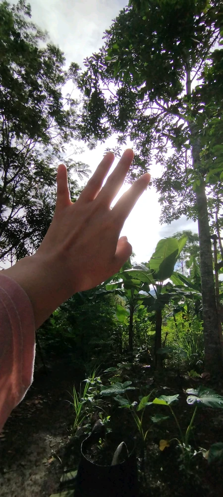 Gambar diunggah oleh Nuryani